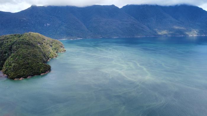 A view of north Patagonia. (Photo courtesy of The Pontificia Universidad Católica de Chile)