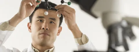 A lab worker analyzes a scientific model.