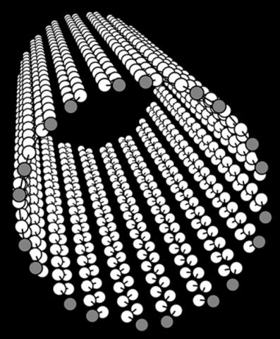 Nanotubes