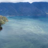 A view of north Patagonia. (Photo courtesy of The Pontificia Universidad Católica de Chile)